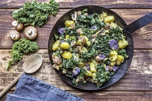 тушеная капуста с картофелем и грибами тушеная капуста с картофелем и грибами