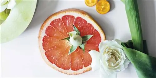 Продукты и кулинарные советы по борьбе с аллергией