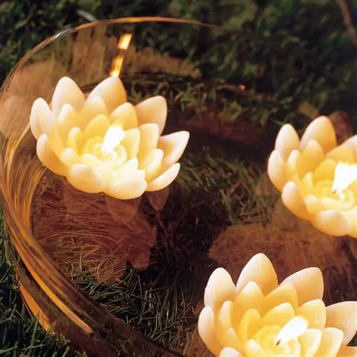 Свеча, Лепесток, Освещение, Цветок, Растение, Лист, Весна, Трава, Центральная часть, Искусственный цветок,