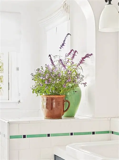 Каподастр в колониальном стиле: Ванная комната с низкими стенами