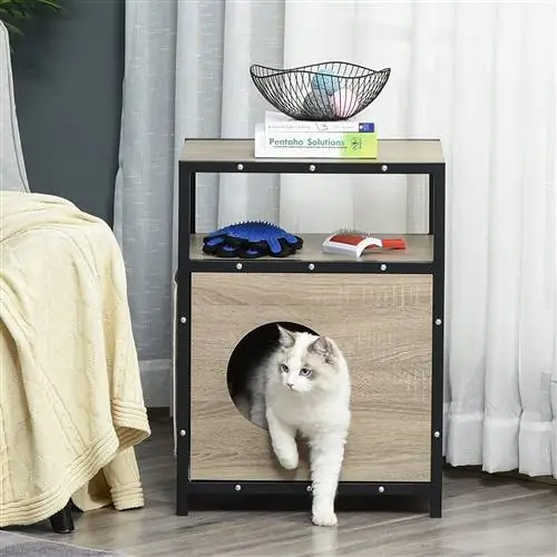 кошачья мебель кровать