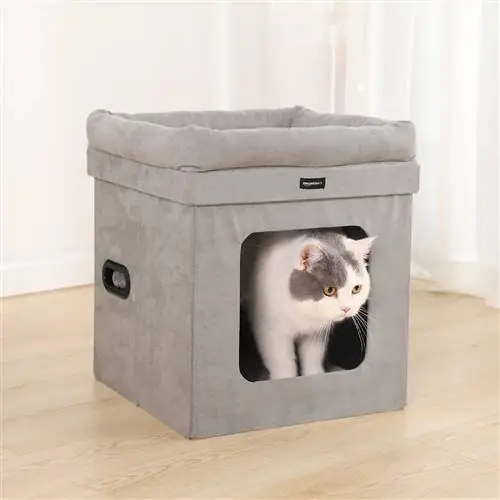 кошачья кровать
