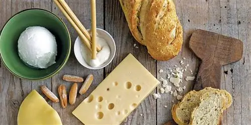 Обзор самых вкусных сортов сыра DíadelosAmantesdelQueso