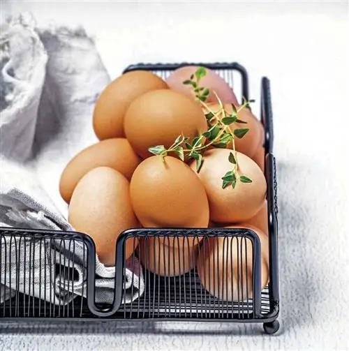 Продукты для сна: яйца