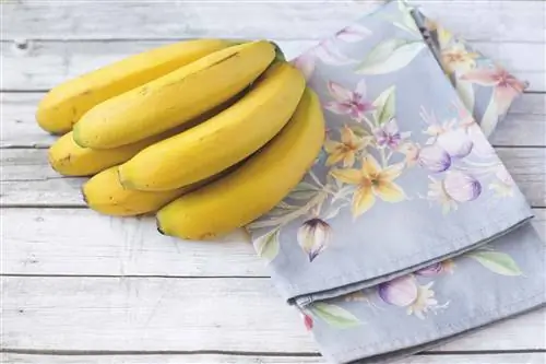 Продукты для сна: Бананы