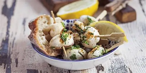 12 лучших простых и вкусных рецептов каракатиц