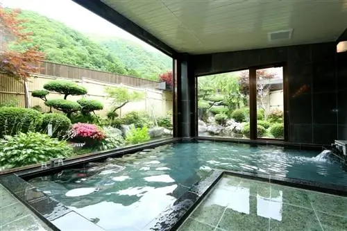 Отель Shoji Mount в Фудзикавагутико