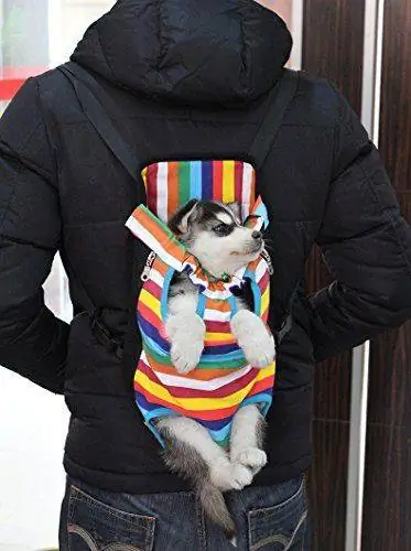 Рюкзак для собак и кошек