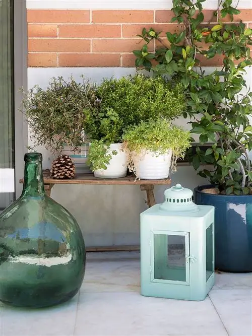 Зеленый, Цветочный горшок, Чирок, Бирюза, Аква, Стекло, Комнатное растение, Ваза, Артефакт, Дизайн интерьера,