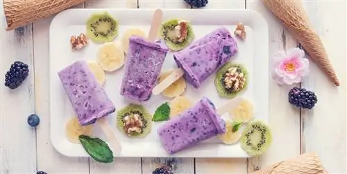 Как сделать домашнее мороженое: советы и электрические мороженицы