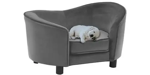 20 лучших дизайнерских кроватей и диванов для вашей собаки