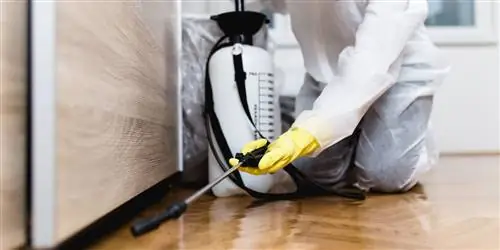 7 Уловки для уничтожения жуков До свидания, жуки! ?