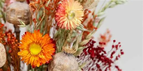 20 Красивые букеты из сухоцветов или консервированных цветов