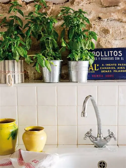 Сантехника, Кран, Стена, Вазон, Раковина, Аксессуары для ванной комнаты, Дизайн интерьера, Сантехника, Керамика, Посуда,