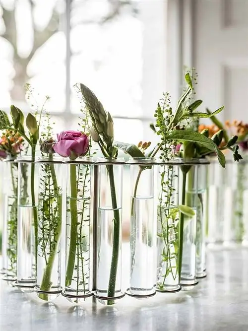 длинные стебли