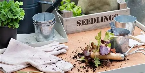 Кто сеет пожинает?