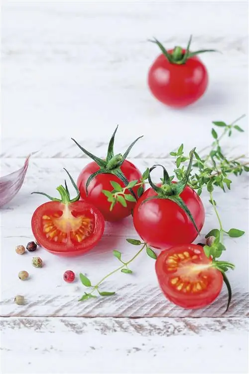 красные помидоры