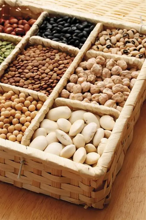 Питание: Бобовые