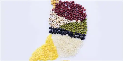 Ешь Никакого дискомфорта и жжения! ?