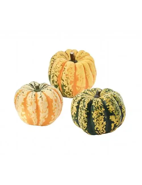 орнамент из тыквы