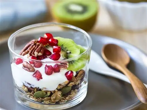 стакан хлопьев, семечки, йогурт, орехи, гранат и киви