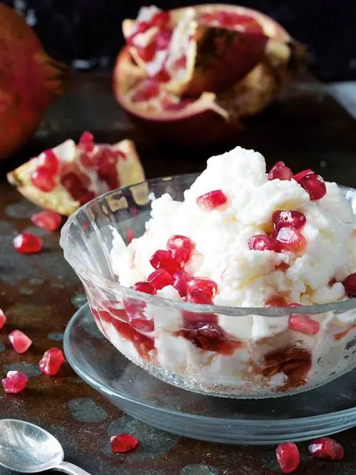 йогуртовое желе с гранатом