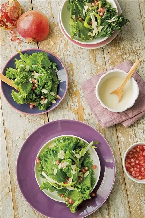 гранатовый фрукт