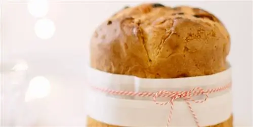 Рецепт панеттоне с изюмом