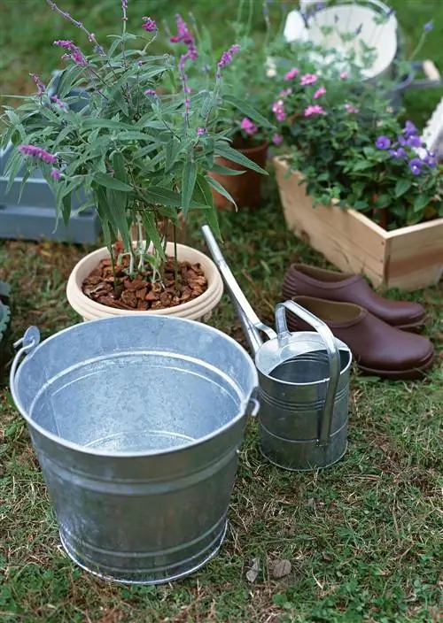 поливайте растения и погружайте их в воду, чтобы оживить горшки