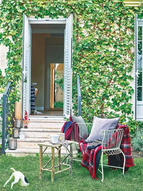 зеленый, мебель, дом, стул, дом, дверь, мебель для улицы, крыльцо, порода собак, задний двор,