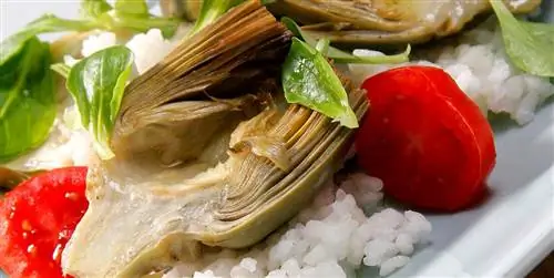 Артишоки с рисом: полезные, сытные, витаминные и сезонные