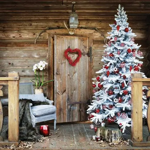 Новогодняя елка, узнайте, как за ней ухаживать, чтобы она простояла дольше