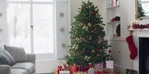 Как ухаживать за елкой, чтобы она служила дольше