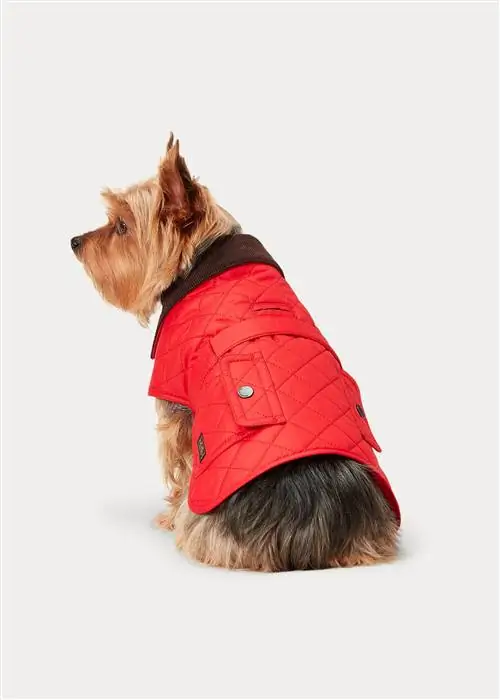 ralph lauren собака флисовая куртка одежда для домашних животных