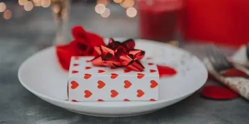10 вещей, которые украсят ваш стол в День святого Валентина ❤️