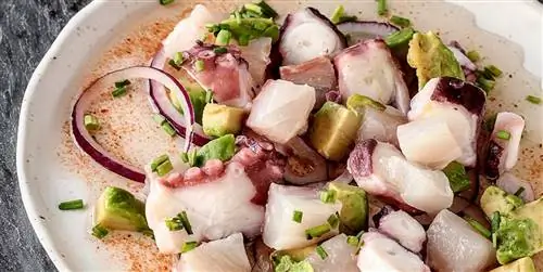 Как приготовить севиче из морского окуня и осьминога