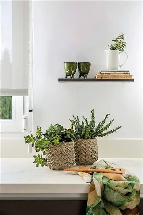 Современная кухня, открытая для гостиной: Полка