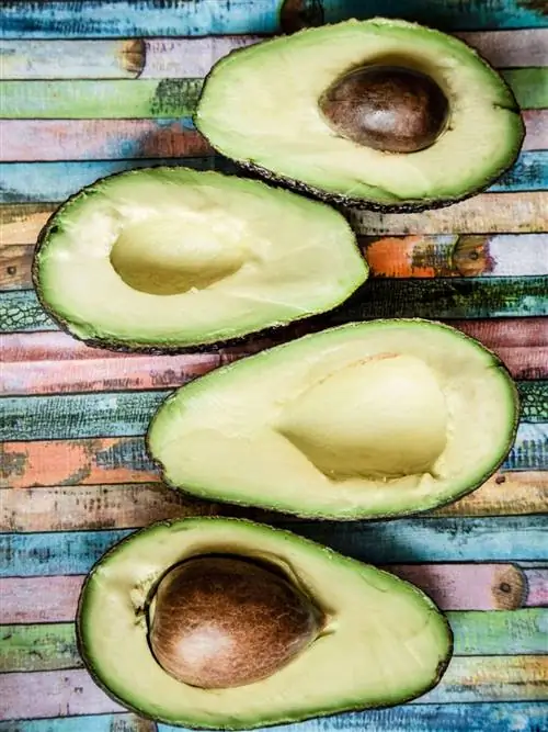 авокадо