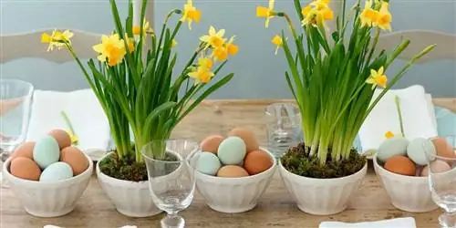 Украсьте свой дом 20 красивыми пасхальными украшениями и столами