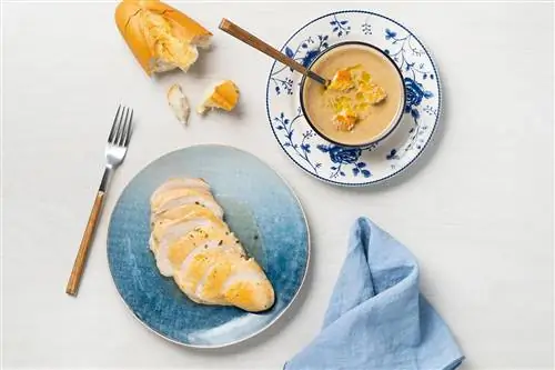 хлебно-чесночный суп с куриной грудкой на гриле