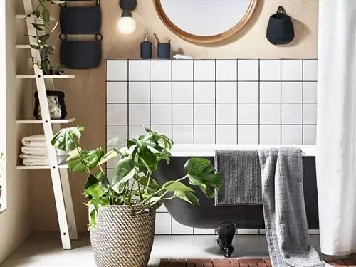 современная ванная комната с черной ванной на ножках