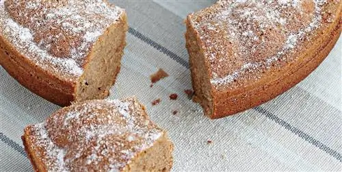 Торт из йогурта и какао: легко и сытно, сытно