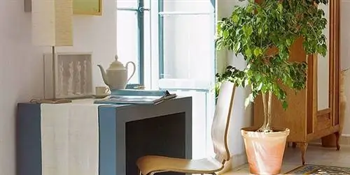 Фикус: уход и советы по украшению дома