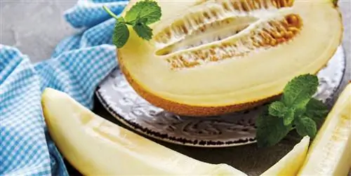10 простых и освежающих рецептов дыни