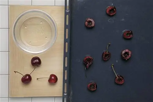 ванильное мороженое и вишня 1 ванильное мороженое и вишня 1
