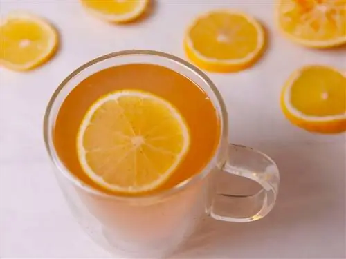 детокс лимонад