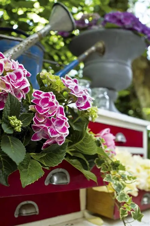 делать букеты и цветочные композиции, хобби своими руками