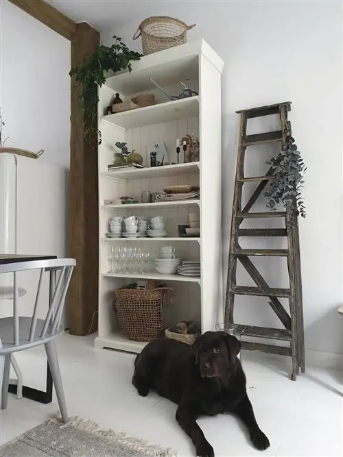 таунхаус anniegg67 кухня со стеллажами