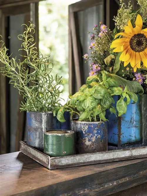Цветочный горшок, цветок, желтый, синий, зеленый, растение, срезанные цветы, флористика, фотография натюрморта, букет,