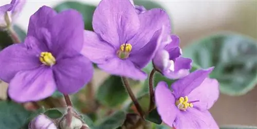 спальня в индустриальном стиле